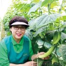 소통농장 이미지