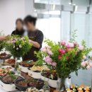 세림 주식회사