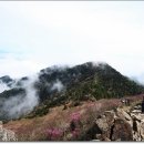 세석가는길 이미지