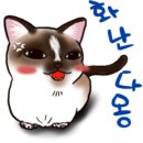 호랑이 동물병원 이미지