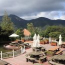 선진농원 이미지