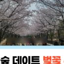 오발탄 | 성수 서울숲 맛집 내돈내산 오발탄 예약 가족모임 장소 콜키지 이용 후기