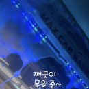 더맥스카워시 네이버블로그