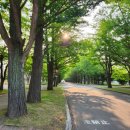 오라노래연습장 | 삿포로 3박4일, 3일차: 세계 최고의 치즈케이크