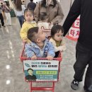 윤슬동물병원 | 여기 모든 것이 널 위한 장면 같아.