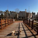 신풍정육 | [공주/신풍] 힐스포레, 명품한우 정육식당 후기