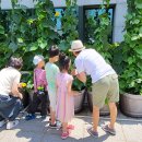 수정도서관 이미지