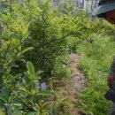 주현농장 이미지