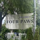 포포즈 반려동물장례식장 김포점 | 🕊️ 반려동물 장례식장·강아지 장례 | 포포즈 경기 김포점