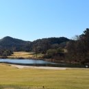 비비큐 경북 상주점 | [공지] 상주 블루원CC 1박2일 패키지 후기 ,벚꽃 라운딩+바베큐, 이 가격에 이 퀄리티