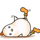 에이엔씨 이미지