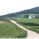 바닷가하얀집 이미지