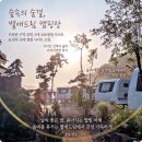 영동전기에어컨 | 국내 여름여행지 추천 충북 캠핑장 영동 별애드림 카라반 숲캠핑장 후기