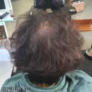엘로이헤어샬롱 | 여주 이벤트헤어; 엘로이 천연염색 시술후기