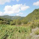 명호면사무소 이미지