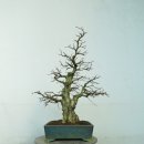 소사중학교 이미지