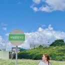 더 랩스 피트니스 삼전 이미지