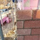 여주-0169 이미지
