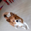 놀자