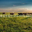 농지목장 이미지