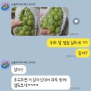 엘지농원 | 엘지트윈스 박관우 샤인머스캣 후기