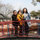 첼로와 거문고 이미지