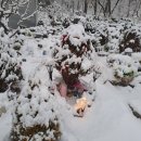 몽몽이엠파크 이미지