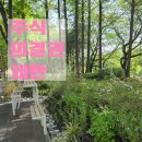 화창행정사 사무소 이미지