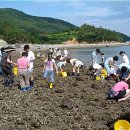 농업농촌테마마을 이미지