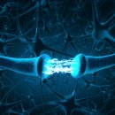 힘찬큐한방병원 이미지