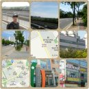 무림합기도 | 특공무술.합기도 전문교육기관 광양무림체육관 로드FC31 관전후기