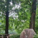 용소웰빙공원 | 부산 기장 가볼만한곳 용소 웰빙 공원 힐링 산책 후기