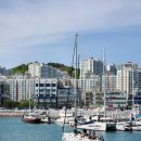 아그리나 B 이미지