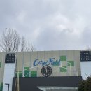 김밥호랭이 | 호랭이꼬마김밥 : 인하대 김밥, 인하대 떡볶이, 인하대역 맛집 후기