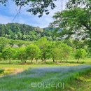 미디어 팝콘(강원) 투어코리아