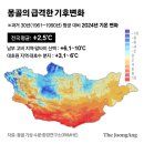 초원가축