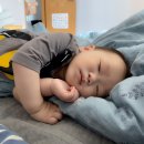 우림촌 | 일상블로그 : 3월 일상(2)