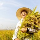 태양광발전사업설치 이미지