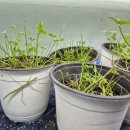 창녕우포생태관광체험마을회 | [창녕]곤충 좋아하는 아이라면 필수코스 🐞 우포곤충나라 다녀온 리얼 후기l 우포곤충나라