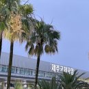 홍콩익스프레스 항공 A320neo 탑승 후기 – 제주에서 홍콩까지 직항으로 편리하게!