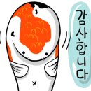 새움3로 이미지