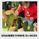 앤버드 | 청주실내동물원 이색데이트 코스 추천 버드앤쥬 방문 후기