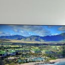 차소연의원 이미지