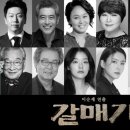 명품 갈매기 이미지