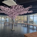 태종대 전망대 이미지