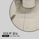 티오피시그니쳐 이미지