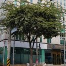 평생비전센터 이미지