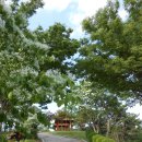 다사중학교 이미지