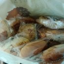 빠띠쉐의 꿈 이미지