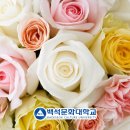 더플로리스트 이미지